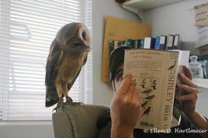 534013_329548973788677_1639047988_n