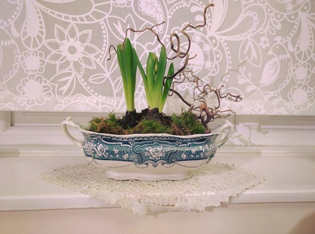 940999_10208458143712816_7425596445762728197_n